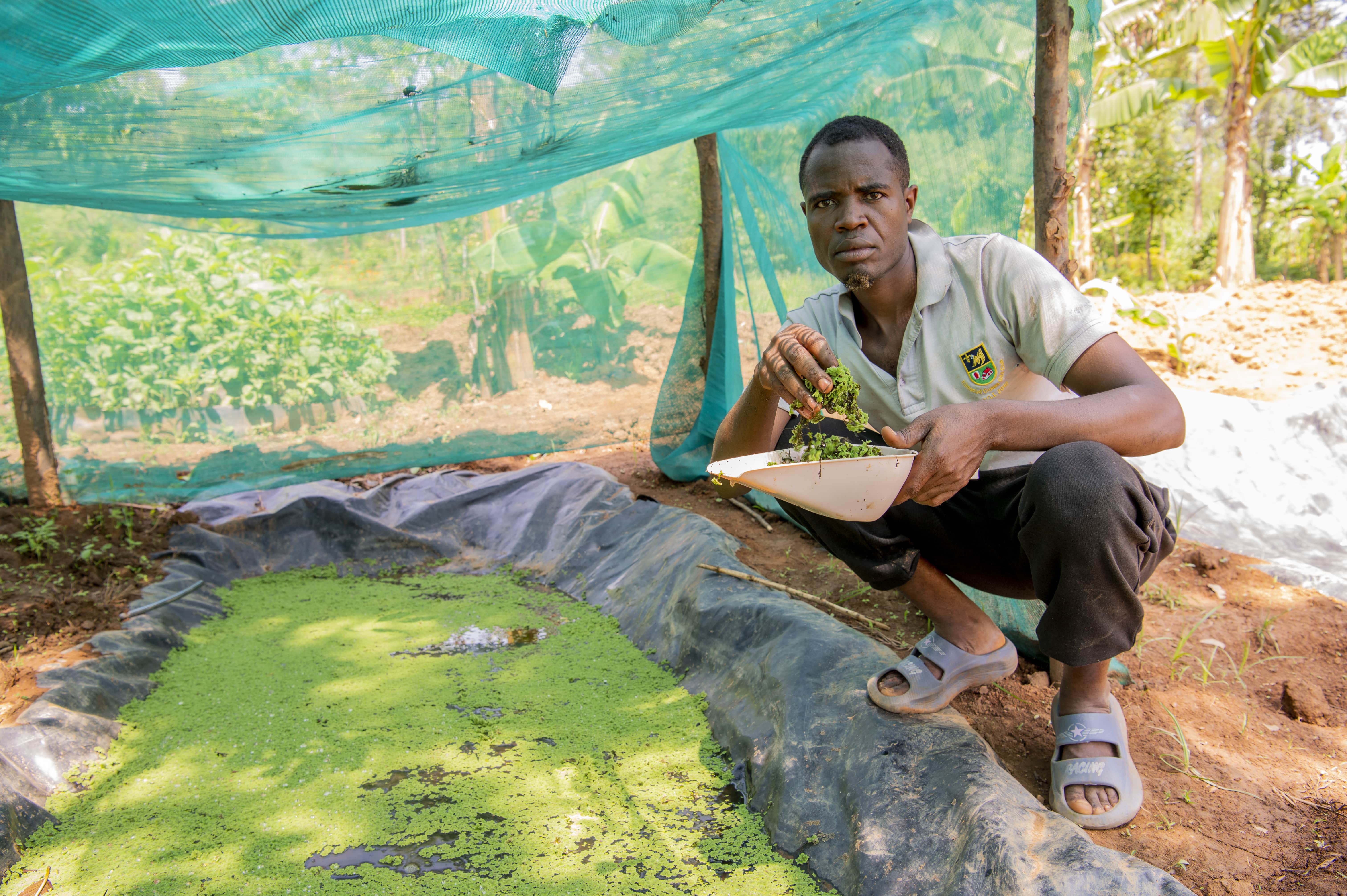 Empowering Youth for Sustainable Aquaculture Markets and Job Creation 