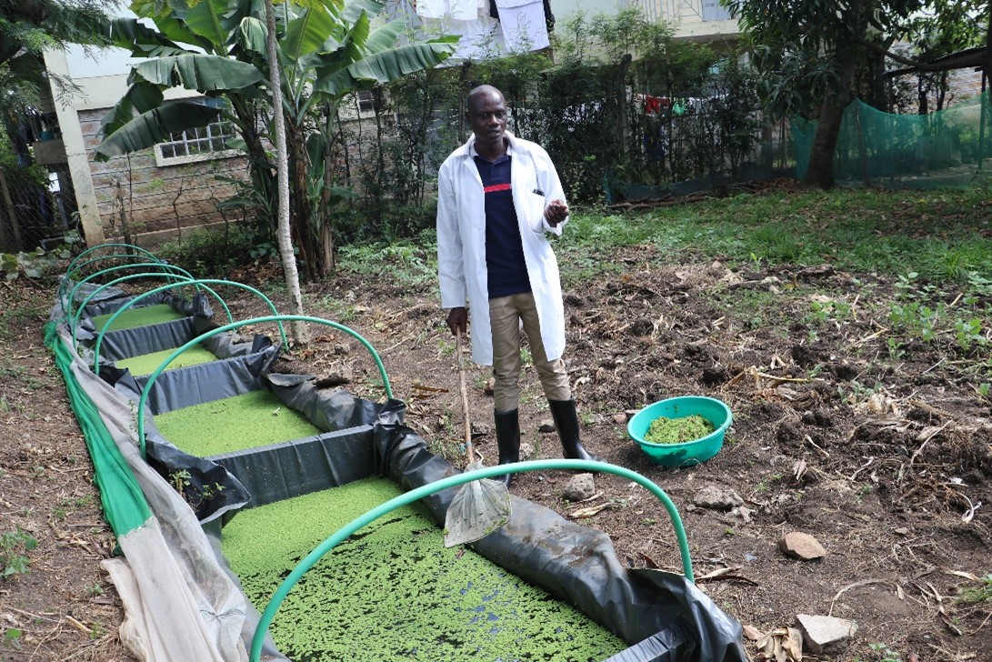 Impact story image for From Adversity To Agripreneurship: Jared Odongo’s Story