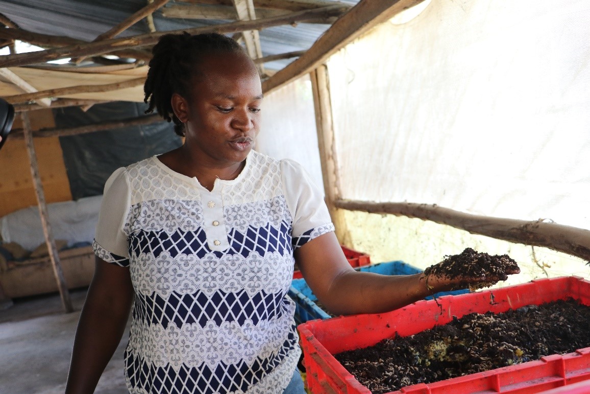 Impact story image for Empowering Poultry Farmers: Nephile Atieno’s Journey To Sustainable Agriculture