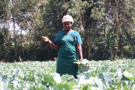 Hope In Agribusiness: Penina Wafula’s Success banner image