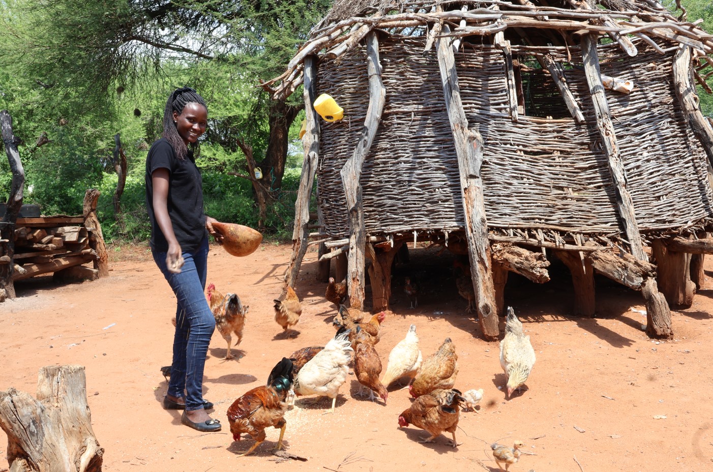 Scaling Commercialization of Drought Tolerant Crops (DTC) Technologies to Secure Dignified and Fulfilling Work for Youth in Rural Kenya banner image